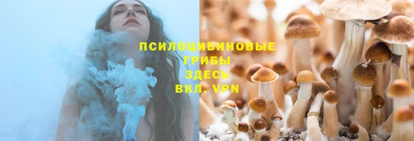 MESCALINE Инсар