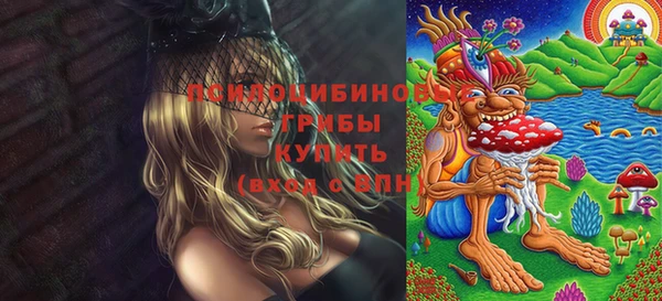 MESCALINE Инсар