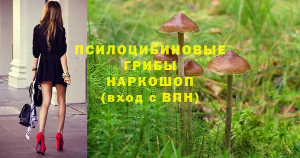 MESCALINE Инсар