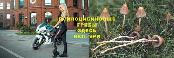 не бодяженный Строитель