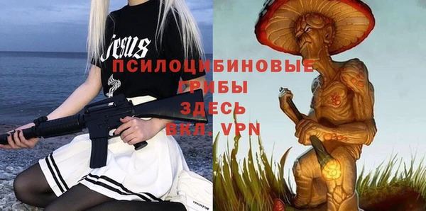 не бодяженный Строитель